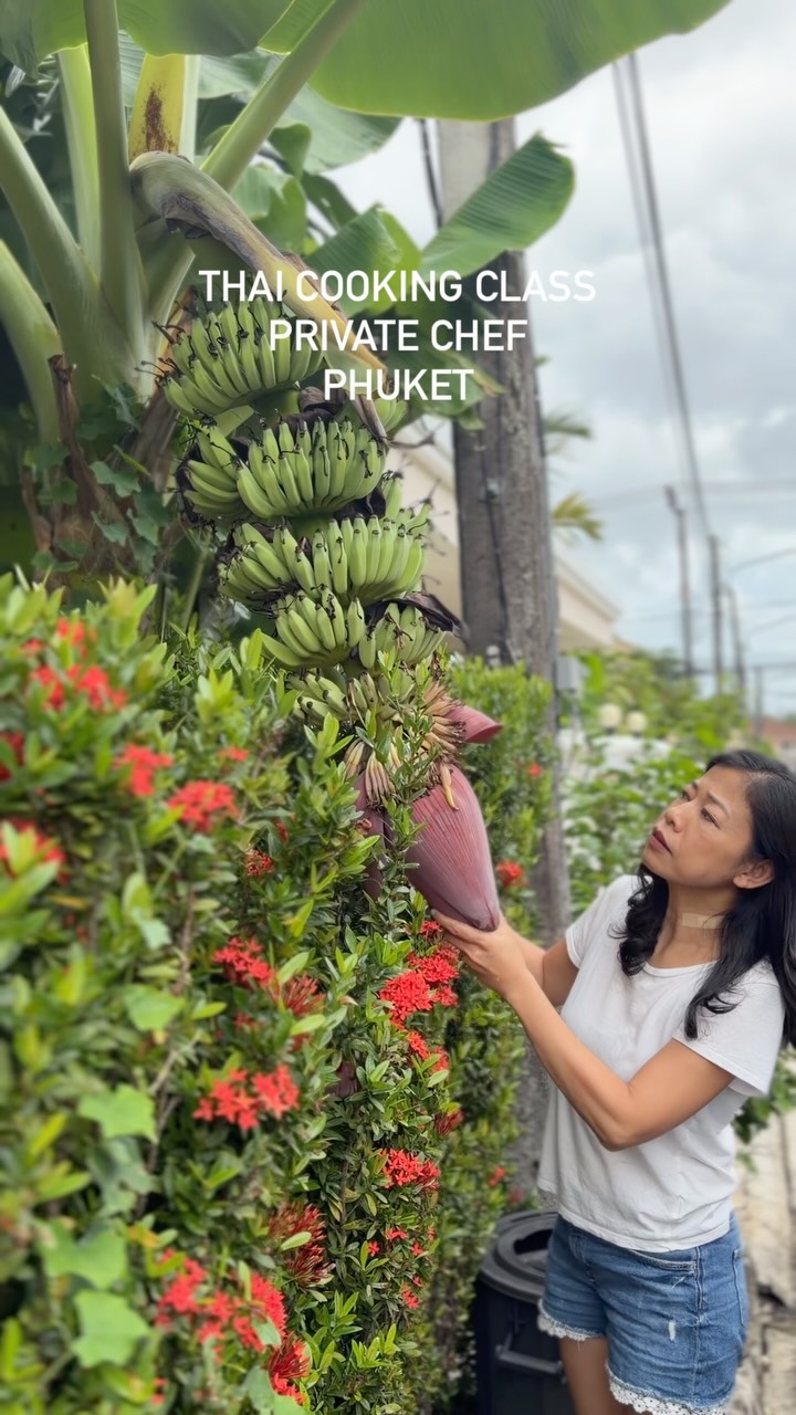 Join us in our Thai Cooking Class Phuket and learn about local ingredients making comfort home style dishes. 

#thaicookingclass #privatechef #phuket #bananaflower #chefPui