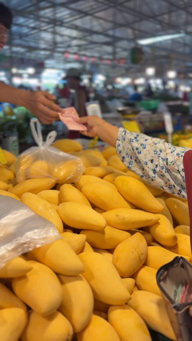 Mango leather or “ส้มแผ่น“ I grow up with. When everyone had enough of gorgeous fresh mangoes and your freezer can’t take anymore, preserve them. 

#ThaiCookingClass #Phuket #ThaiFood #Mangoes #PrivateChef